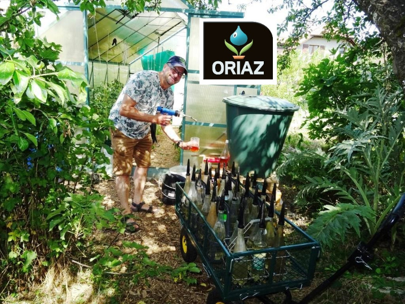 ORIAZ-2022-test-garden_2022-07-19.JPG