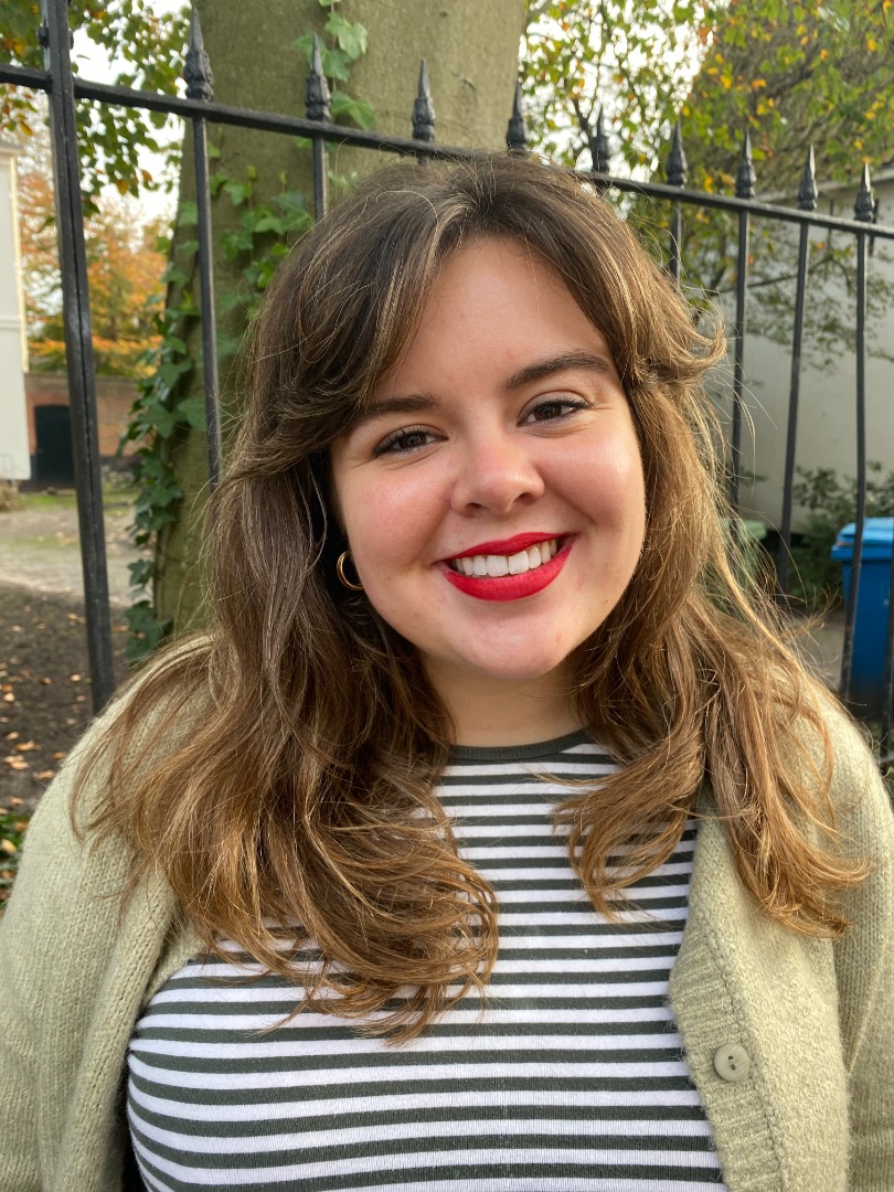 Humanitarian crises dissertation image